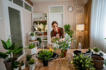 woman gardener florist take care grow cultivate plants at home