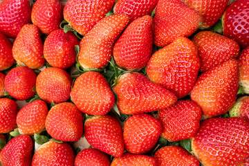 Close up ripe red strawberries, top view. Background of freshly picked strawberries