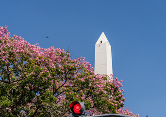 Obelisk of Buenos Aires in Argentina is icon of city and here rises above a stop sign and flowering...