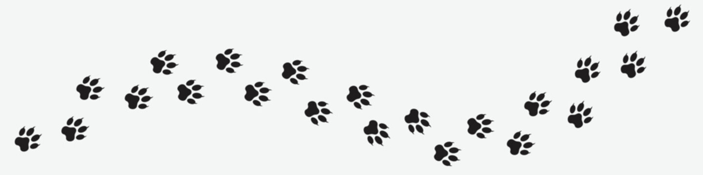 Paw  footprint vector, foot trail print of cat. Dog, pattern animal tracks isolated on white gray background, backgrounds, vector icon Illustration