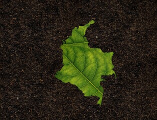 3D illustration of Colombian map made of green leaf on soil background - concept of ecology