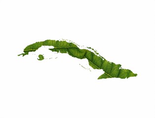 3D illustration of Cuba map made of green leaf on white background - concept of ecology