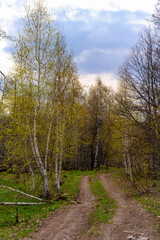 South Ural forest road with a unique landscape, vegetation and diversity of nature.