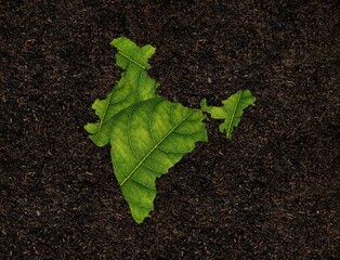 India map made of green leaves on soil background, ecology concept