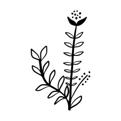 floral leaves element
