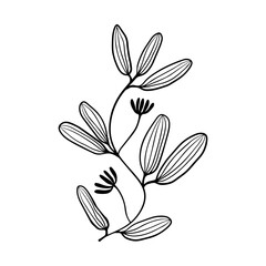 floral leaves element