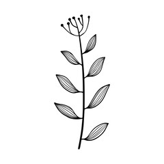 floral leaves element