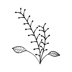 floral leaves element