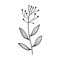 floral leaves element