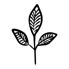 leaves branch element © KEN111