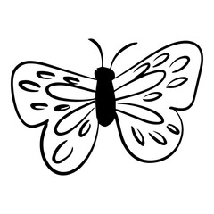 hand drawn butterfly element