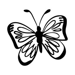 hand drawn butterfly element