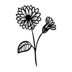 flower floral element