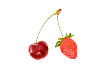 Cherry and strawberry together on the same double stem isolated on transparent background. Fruit business partnership concept, png file