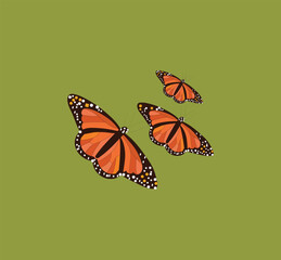 Fototapeta na wymiar Three beautiful butterflies vector art work.