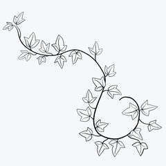 Floral ivy drawing decorative ornament flat design.
