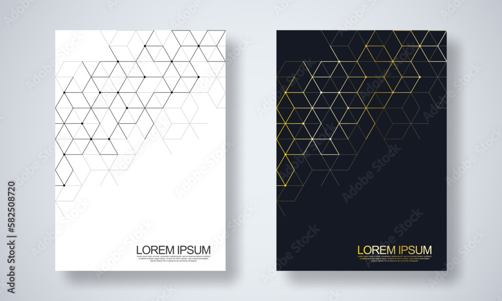 Poster abstract geometric background with hexagons shape pattern for a business brochure or cover book, pag