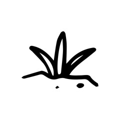 hand drawn plant