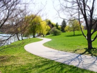 Winding path through park with trees in Buffalo, New York State