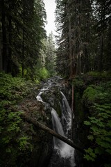 Vertical shot of Sol Duc Falls. Olympic National Park, state of Washington, USA.