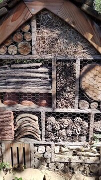 maison &agrave; insecte en gros plan