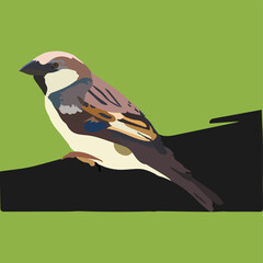 Sparrow-The Native Bird of Bangladesh