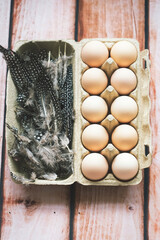 Eggs with feather in egg carton  - 582514904