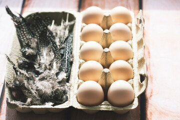 Eggs with feather in egg carton  - 582515136