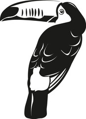 Black and White Cartoon Illustration Vector of Toucan Bird 