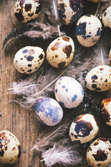 Quail eggs with feather on table  - 582515920
