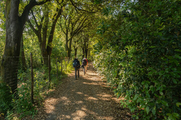 Pilgrims walking on the path trough hills and green at Cerbaie aree of Fucecchio alongo Francigena road - Firenze province, Tuscany region, italy