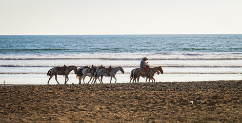 Two Costa Rican cowboys leading 4 horses along the beach in Jaco, Costa Rica 
