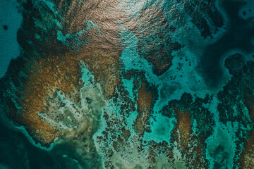 Fototapeta premium Aerial photos of the Silk Cayes in the Gladden Spit and Silk Cayes Marine Reserve located in the southern waters of Belize.