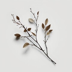 Branch stick illustration