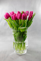 Lilafarbene Tulpen in einer Glasvase