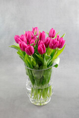 Lilafarbene Tulpen in einer Glasvase