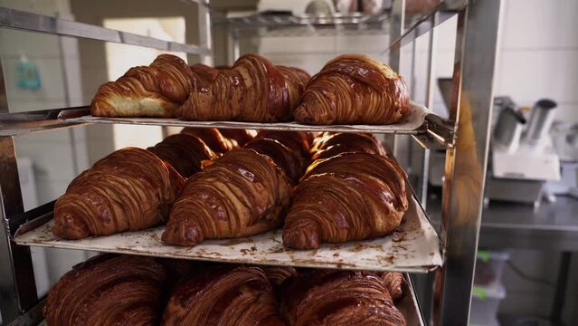 Croissants are in tray after leaving the oven for customers on breakfast in a commercial kitchen.Freshly baked croissant for sale in bakery