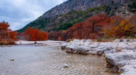 Fototapeta premium Autumn landscape. Swamp cypress and other trees with yellow foliage along the riverbank. Texas, Garner State Park, USA
