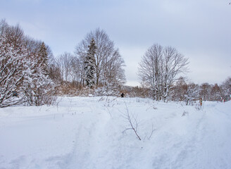 A frosty winter morning in a mountainous area, frozen nature and trees in a snowy decoration.