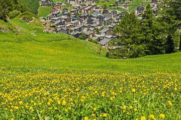 Blick von oben auf Häuser im Dorf Zermatt, Wallis, Schweiz