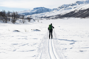 Fototapeta na wymiar Mit Cross Contry Ski auf Tour - Jotunheim, Norwegen