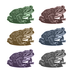 Vector set of colored simple stencils of a large toad. Logo, stickers or icons. White isolated background.