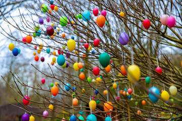 Viele bunte Ostereier hängen an Ästen an einem Baum