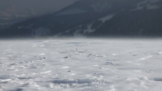 Snow drift in the Carpathian mountains, Ukraine
