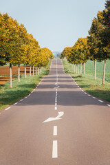 une route vallonnée dans la campagne automnale. Une route avec des pointillés et une flèche de rabattement. Une route bordée d'arbres. Une route en France.