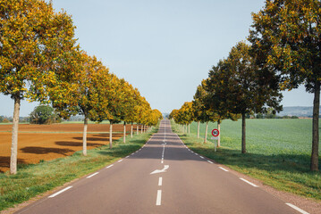 Fototapeta premium une route vallonnée dans la campagne automnale. Une route avec des pointillés et une flèche de rabattement. Une route bordée d'arbres. Une route en France.