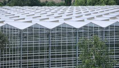 Modern greenhouse complex roof structure made of glass and metal, top view. Large modern greenhouse complex. Greenhouse constructions, agricultural sector.