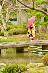 Kyoto maiko's outing on a rainy day