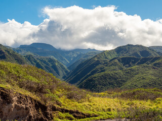 Naklejka premium Hawaiian Volcanic Lush Green Valley