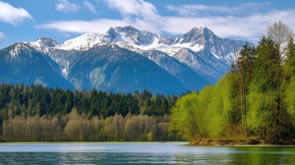Naklejka na ściany i meble beautiful green forest with a lake and snow